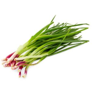 CHIVES