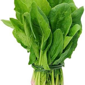 PLAIN GREEN SPINACH