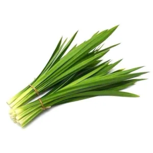 PANDAN LEAVES