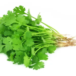 CORIANDER