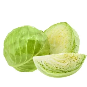 CABBAGE