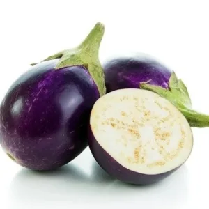 PURPLE ROUND EGGPLANT