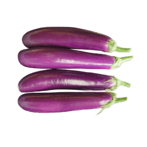 LONG EGGPLANT B