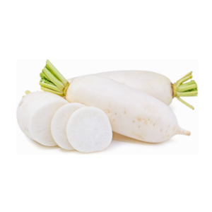 VILLAGE WHITE RADDISH